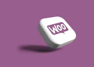 WooCommerce hastighedsoptimering